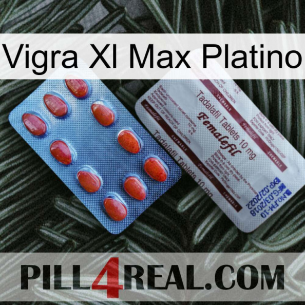 Vigra Xl Max Platinum 36.jpg